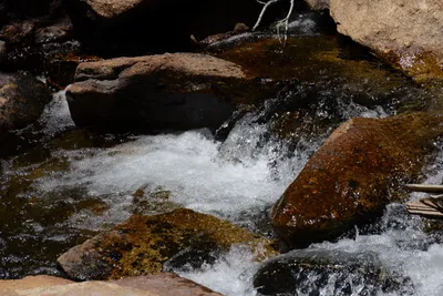 DSC_3686 (Large).JPG